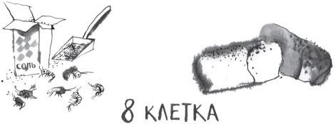 Иллюстрация к книге — Брат-юннат [i_018.jpg]