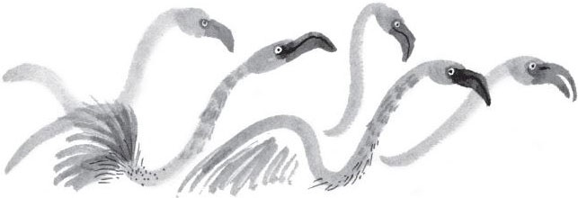 Иллюстрация к книге — Брат-юннат [i_019.jpg]