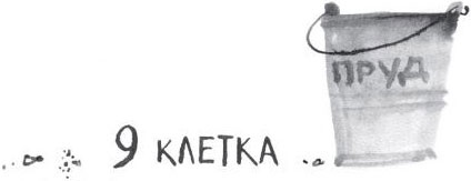 Иллюстрация к книге — Брат-юннат [i_020.jpg]