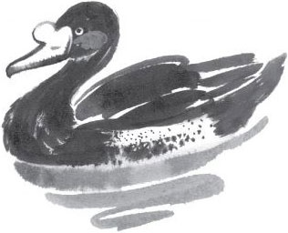 Иллюстрация к книге — Брат-юннат [i_021.jpg]