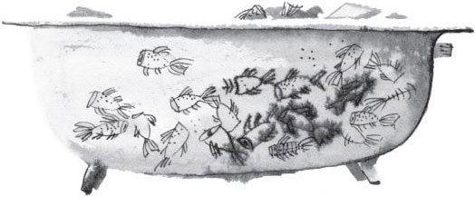 Иллюстрация к книге — Брат-юннат [i_024.jpg]