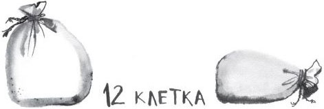 Иллюстрация к книге — Брат-юннат [i_027.jpg]