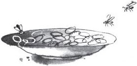 Иллюстрация к книге — Брат-юннат [i_035.jpg]