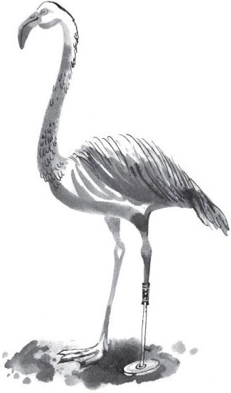 Иллюстрация к книге — Брат-юннат [i_037.jpg]