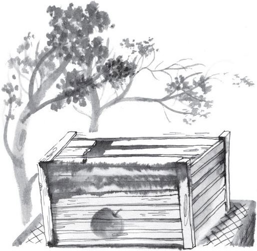 Иллюстрация к книге — Брат-юннат [i_041.jpg]