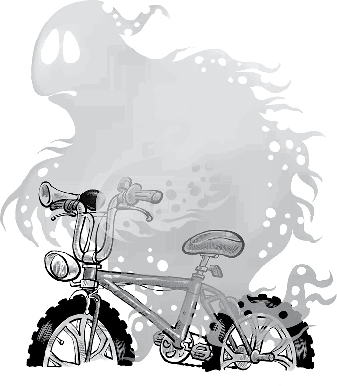 Иллюстрация к книге — Охотники за призраками. Призраки не ездят на великах, так ведь? [i_062.jpg]