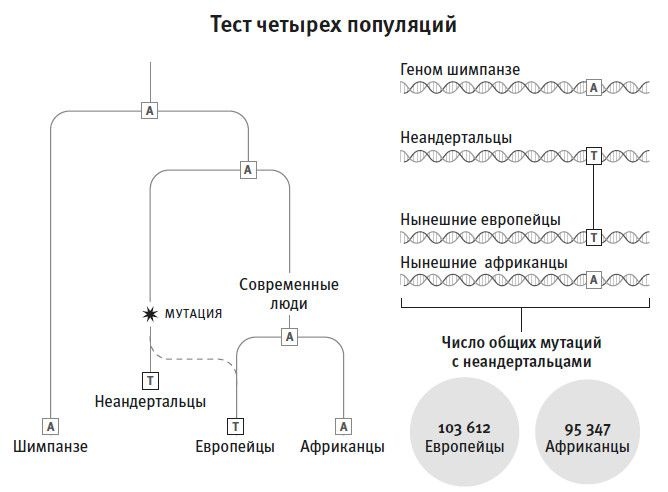Иллюстрация к книге — Кто мы и как сюда попали. Древняя ДНК и новая наука о человеческом прошлом [i_011.jpg]