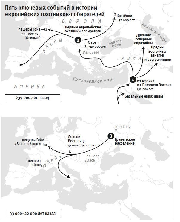 Иллюстрация к книге — Кто мы и как сюда попали. Древняя ДНК и новая наука о человеческом прошлом [i_020.jpg]
