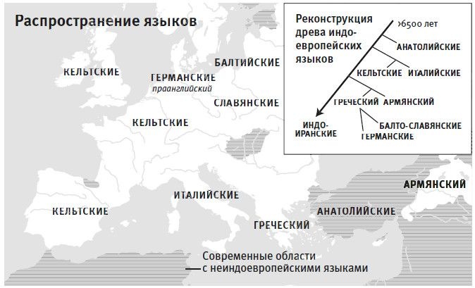 Иллюстрация к книге — Кто мы и как сюда попали. Древняя ДНК и новая наука о человеческом прошлом [i_024.jpg]