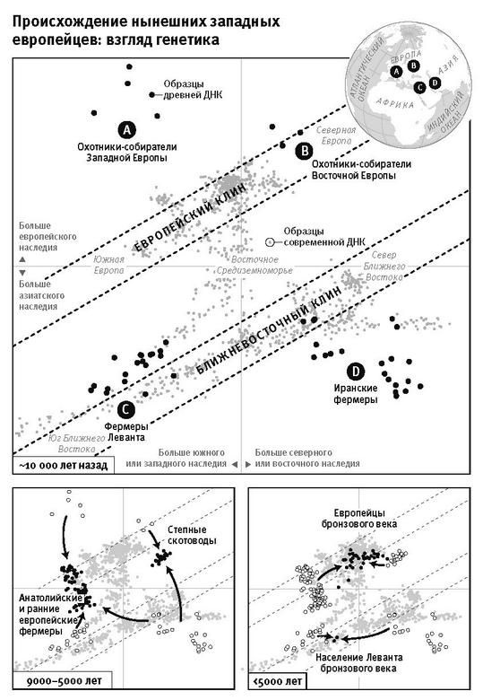 Иллюстрация к книге — Кто мы и как сюда попали. Древняя ДНК и новая наука о человеческом прошлом [i_025.jpg]
