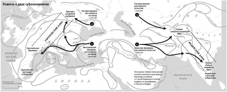 Иллюстрация к книге — Кто мы и как сюда попали. Древняя ДНК и новая наука о человеческом прошлом [i_030.jpg]
