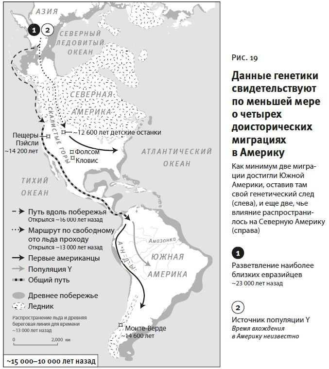 Иллюстрация к книге — Кто мы и как сюда попали. Древняя ДНК и новая наука о человеческом прошлом [i_032.jpg]
