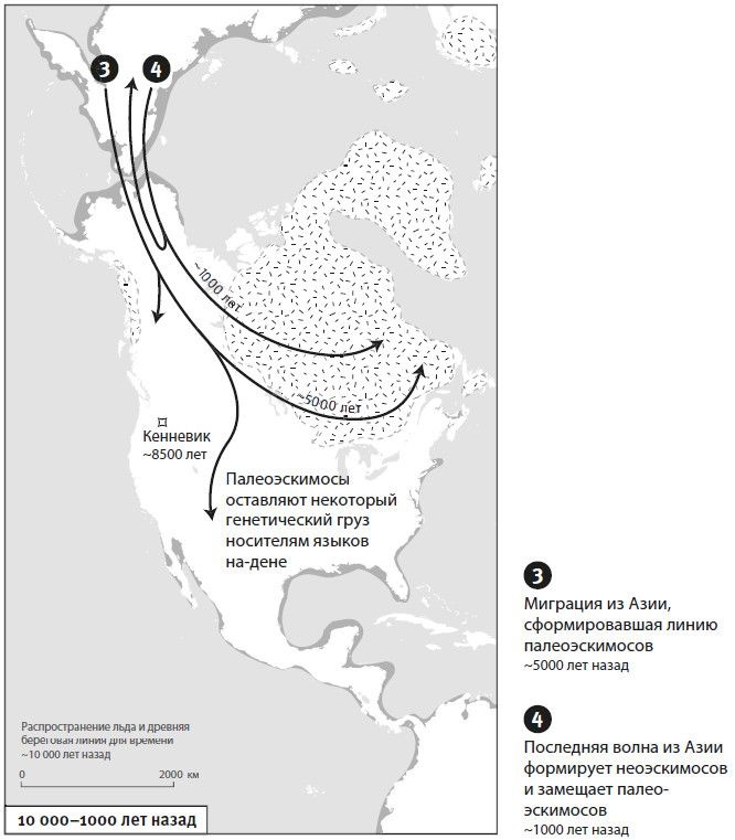 Иллюстрация к книге — Кто мы и как сюда попали. Древняя ДНК и новая наука о человеческом прошлом [i_033.jpg]