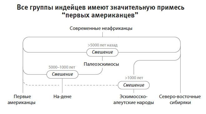 Иллюстрация к книге — Кто мы и как сюда попали. Древняя ДНК и новая наука о человеческом прошлом [i_034.jpg]