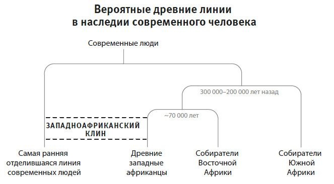 Иллюстрация к книге — Кто мы и как сюда попали. Древняя ДНК и новая наука о человеческом прошлом [i_043.jpg]