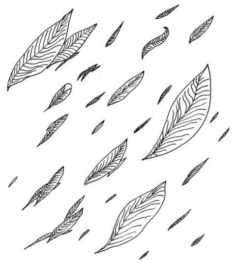 Иллюстрация к книге — Черная водолазка [i_026.jpg]