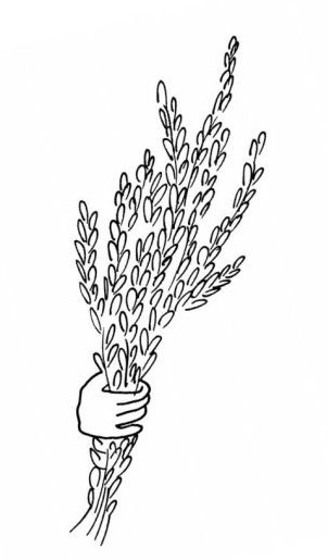 Иллюстрация к книге — Черная водолазка [i_057.jpg]