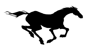 Иллюстрация к книге — Паучья Королева [i_007.jpg]