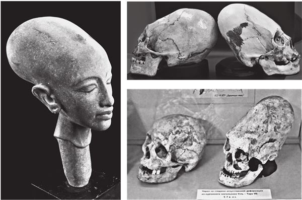 Иллюстрация к книге — Исчезнувшие цивилизации. Взаимосвязь культур и парадоксы истории [i_012.jpg]