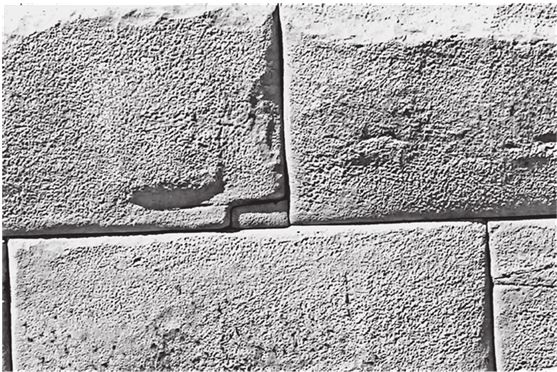 Иллюстрация к книге — Исчезнувшие цивилизации. Взаимосвязь культур и парадоксы истории [i_015.jpg]