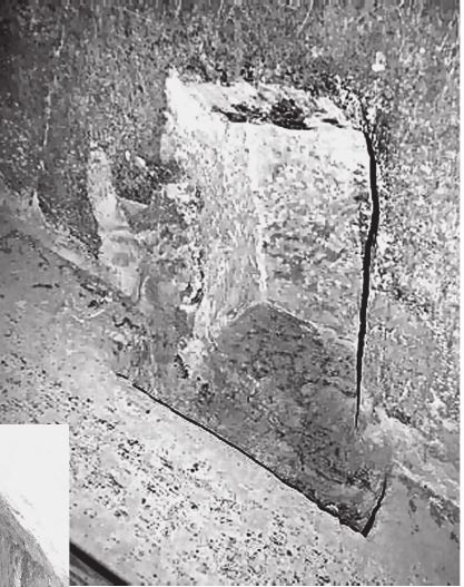 Иллюстрация к книге — Исчезнувшие цивилизации. Взаимосвязь культур и парадоксы истории [i_038.jpg]