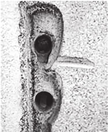 Иллюстрация к книге — Исчезнувшие цивилизации. Взаимосвязь культур и парадоксы истории [i_043.jpg]