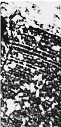 Иллюстрация к книге — Исчезнувшие цивилизации. Взаимосвязь культур и парадоксы истории [i_049.jpg]