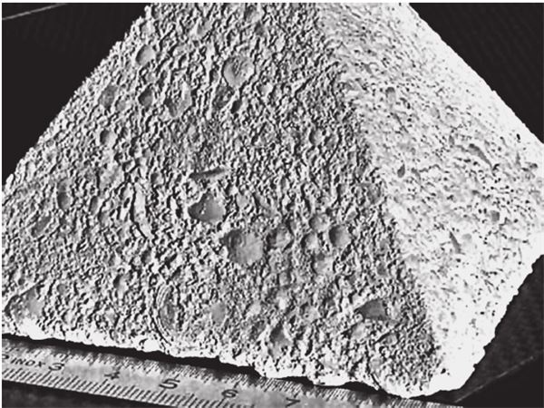 Иллюстрация к книге — Исчезнувшие цивилизации. Взаимосвязь культур и парадоксы истории [i_055.jpg]