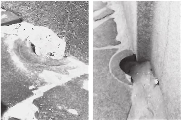 Иллюстрация к книге — Исчезнувшие цивилизации. Взаимосвязь культур и парадоксы истории [i_069.jpg]