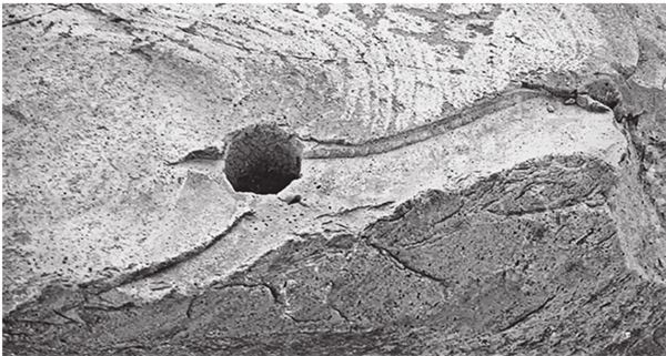 Иллюстрация к книге — Исчезнувшие цивилизации. Взаимосвязь культур и парадоксы истории [i_100.jpg]