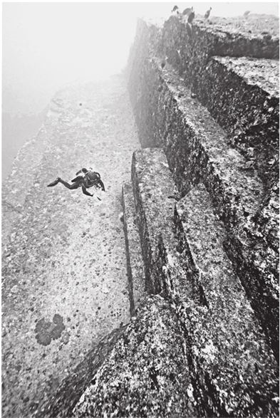 Иллюстрация к книге — Исчезнувшие цивилизации. Взаимосвязь культур и парадоксы истории [i_118.jpg]