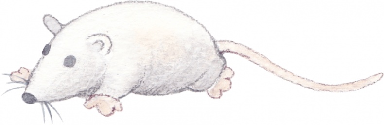 Иллюстрация к книге — Каникулы в Риге [i_018.jpg]