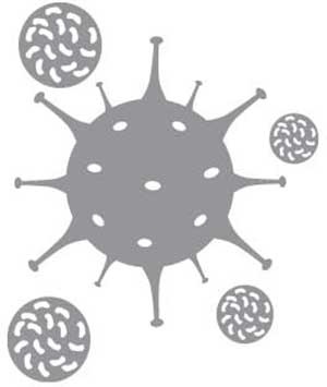 Иллюстрация к книге — Метод Нагумо. Японская система питания, которая поможет снизить вес, вернуть молодость кожи и улучшить здоровье за 4 недели [img_60.jpg]