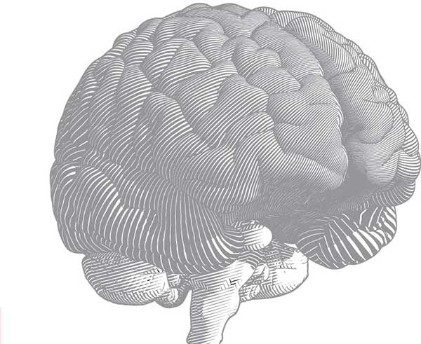 Иллюстрация к книге — Метод Нагумо. Японская система питания, которая поможет снизить вес, вернуть молодость кожи и улучшить здоровье за 4 недели [img_62.jpg]