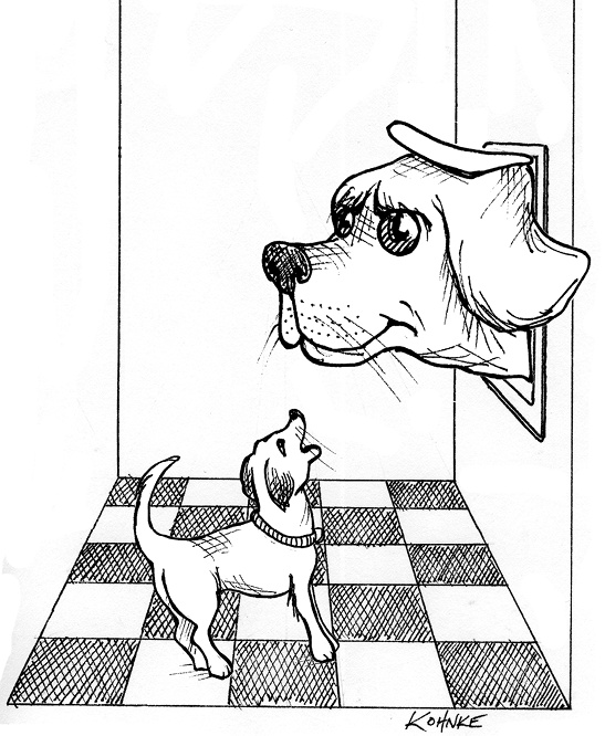 Иллюстрация к книге — Чистая архитектура. Искусство разработки программного обеспечения [i_088.jpg]