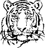 Иллюстрация к книге — Инструменты гигантов. Секреты успеха, приемы повышения продуктивности и полезные привычки выдающихся людей [image24.jpg]