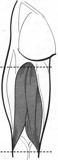Иллюстрация к книге — Инструменты гигантов. Секреты успеха, приемы повышения продуктивности и полезные привычки выдающихся людей [image25.jpg]
