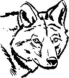 Иллюстрация к книге — Инструменты гигантов. Секреты успеха, приемы повышения продуктивности и полезные привычки выдающихся людей [image3.jpg]