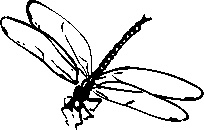 Иллюстрация к книге — Инструменты гигантов. Секреты успеха, приемы повышения продуктивности и полезные привычки выдающихся людей [image43.jpg]