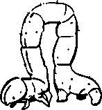 Иллюстрация к книге — Инструменты гигантов. Секреты успеха, приемы повышения продуктивности и полезные привычки выдающихся людей [image51.jpg]