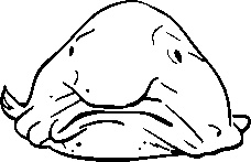 Иллюстрация к книге — Инструменты гигантов. Секреты успеха, приемы повышения продуктивности и полезные привычки выдающихся людей [image52.jpg]