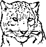 Иллюстрация к книге — Инструменты гигантов. Секреты успеха, приемы повышения продуктивности и полезные привычки выдающихся людей [image53.jpg]