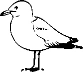 Иллюстрация к книге — Инструменты гигантов. Секреты успеха, приемы повышения продуктивности и полезные привычки выдающихся людей [image56.jpg]