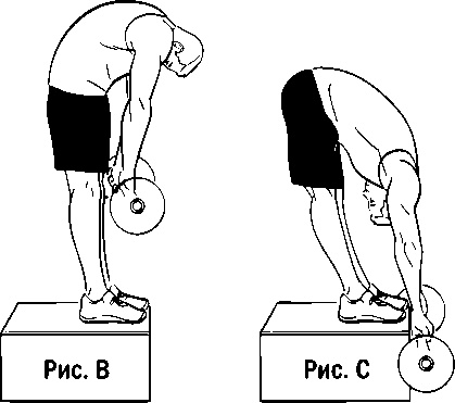 Иллюстрация к книге — Инструменты гигантов. Секреты успеха, приемы повышения продуктивности и полезные привычки выдающихся людей [image6.jpg]