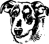 Иллюстрация к книге — Инструменты гигантов. Секреты успеха, приемы повышения продуктивности и полезные привычки выдающихся людей [image75.jpg]