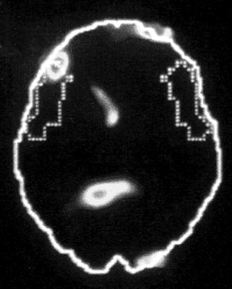 Иллюстрация к книге — Тело помнит все [i_004.jpg]