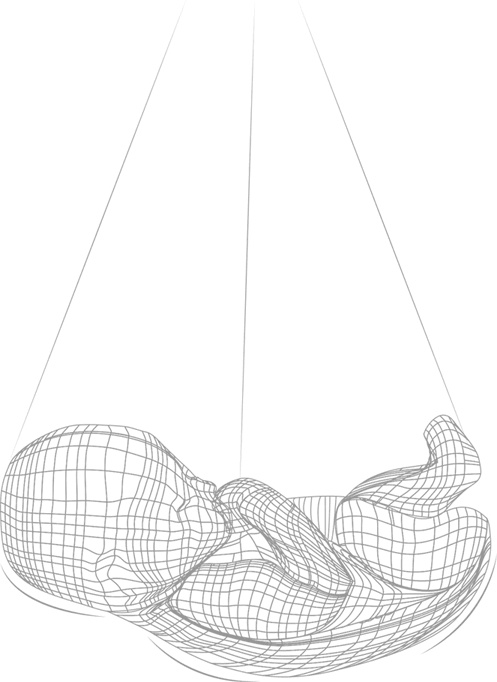 Иллюстрация к книге — Тело помнит все [i_019.jpg]