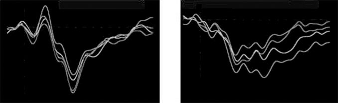 Иллюстрация к книге — Тело помнит все [i_036.jpg]