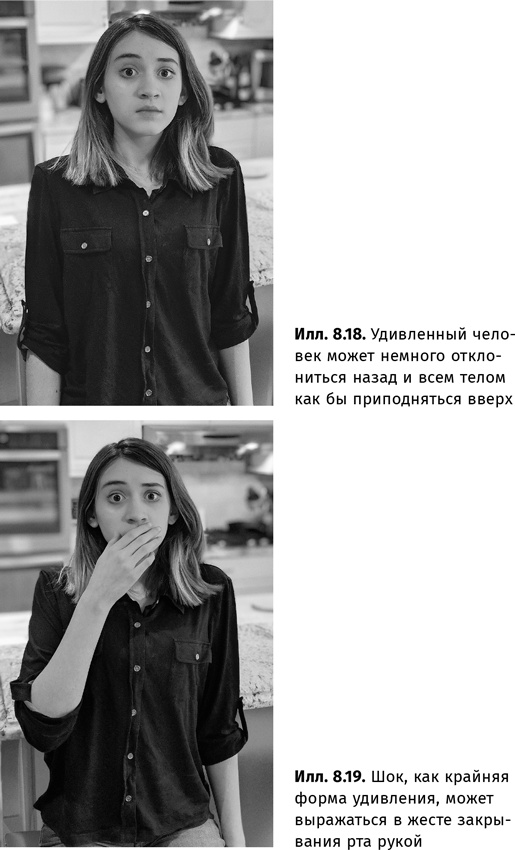 Иллюстрация к книге — Искусство обмана [i_061.jpg]