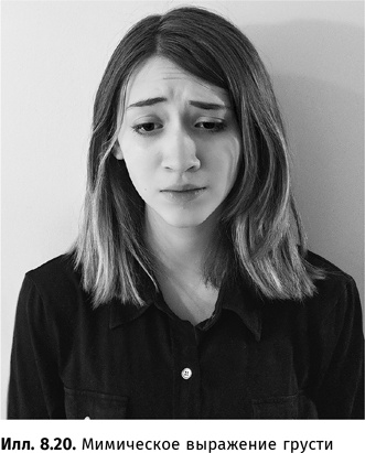 Иллюстрация к книге — Искусство обмана [i_062.jpg]